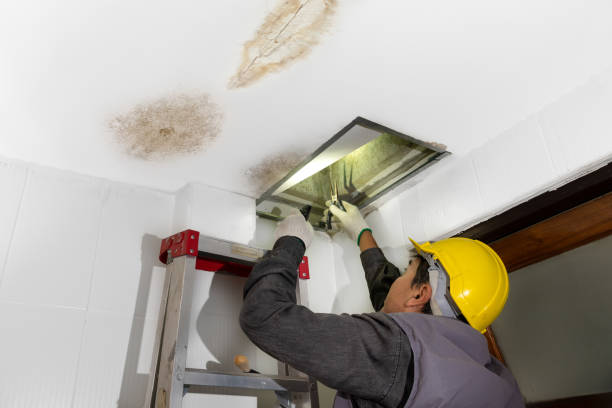 worker fix leaking pipe in ceiling ,close up of a stain on the ceiling. worker fix leaking pipe in ceiling ,close up of a stain on the ceiling.
